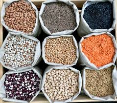 Vegetable Seeds