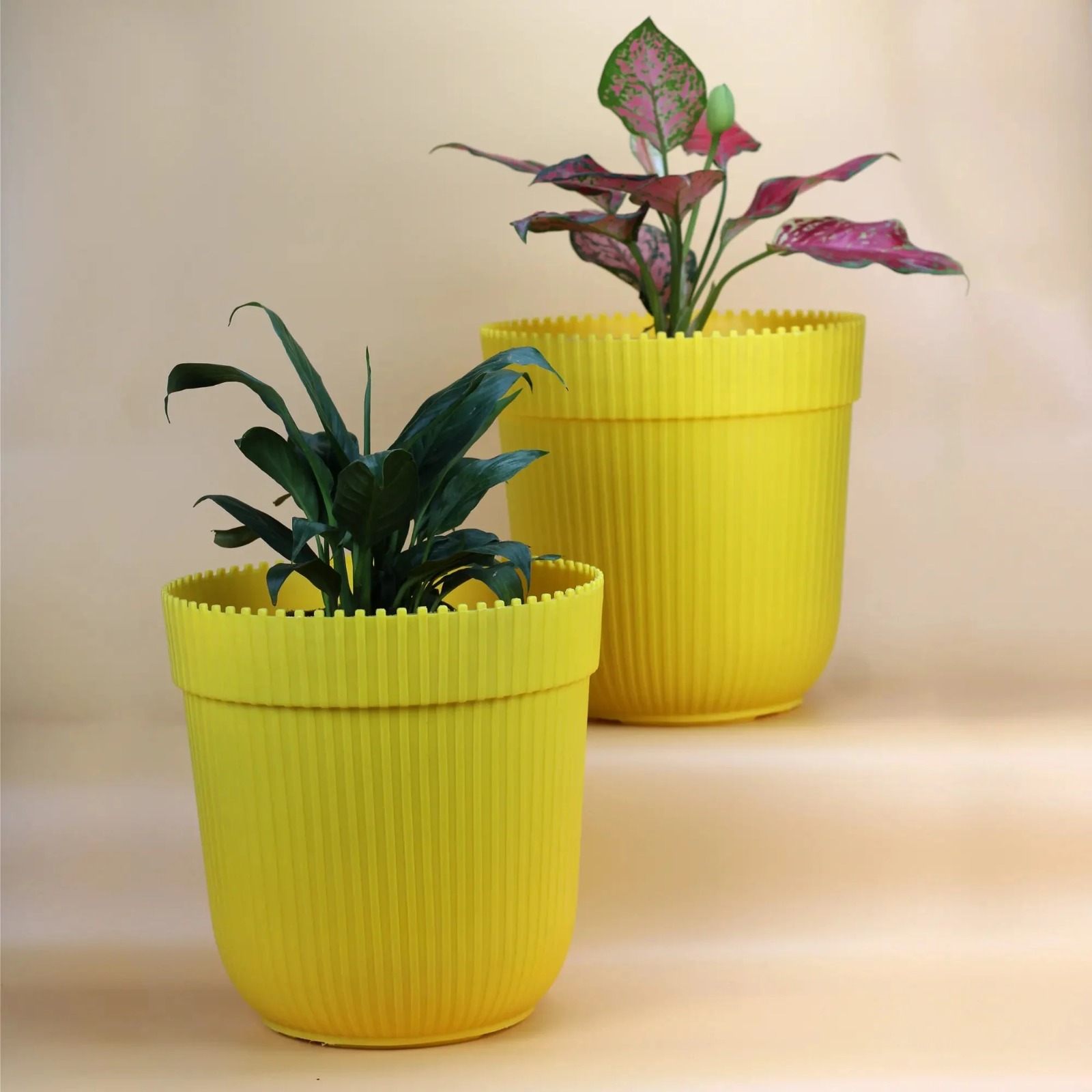 Pots