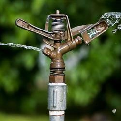 Sprinkler